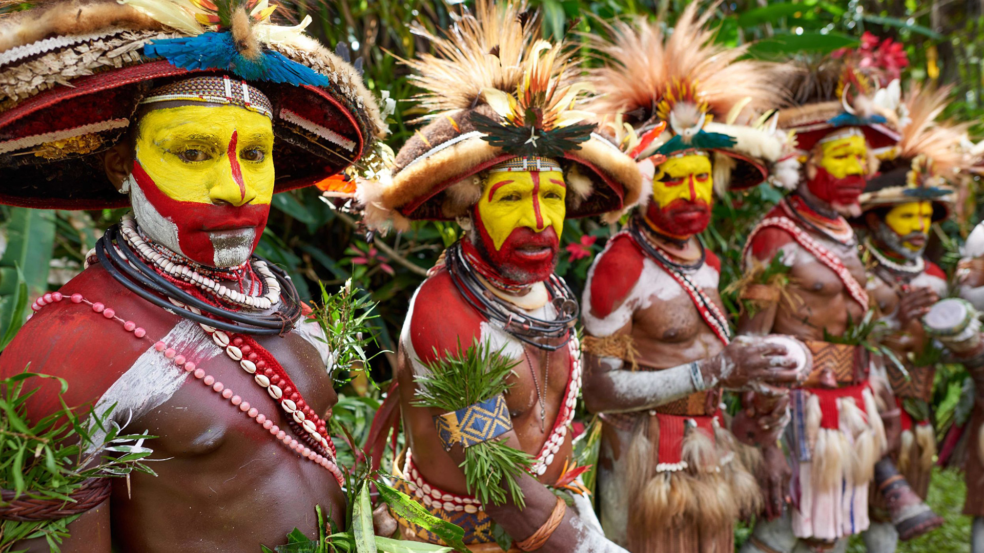 Huli wigmen — Papua New Guinea